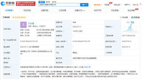 科大訊飛安徽再落兩子，千萬元級新公司聚焦AI基礎軟件研發